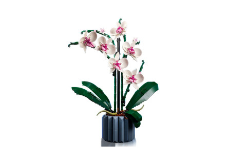 LEGO® 10311 Creator Expert - Orchidea