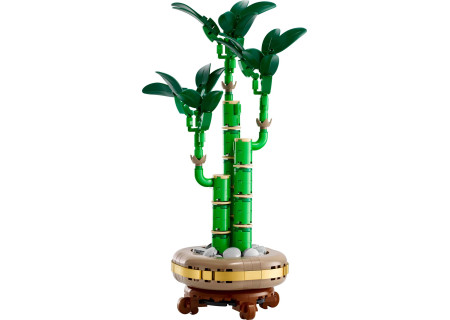 LEGO® 10344 Botanical Collection - Dracena sandera