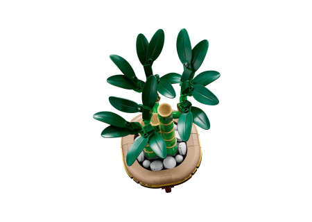 LEGO® 10344 Botanical Collection - Dracena sandera