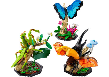 LEGO® 21342 Ideas - Kolekcja owadów