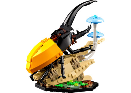 LEGO® 21342 Ideas - Kolekcja owadów